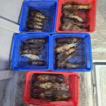 제목을 입력해주세요.png