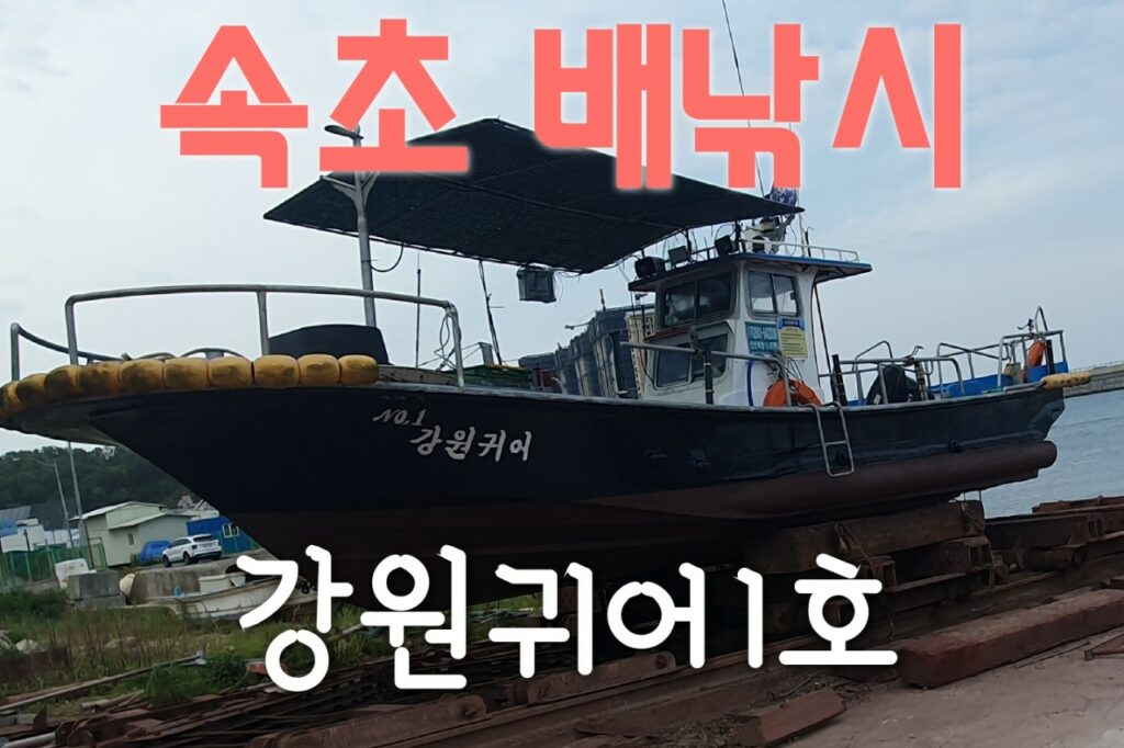 강원귀어1호(속초 선상낚시)-전체 사진-51935596929